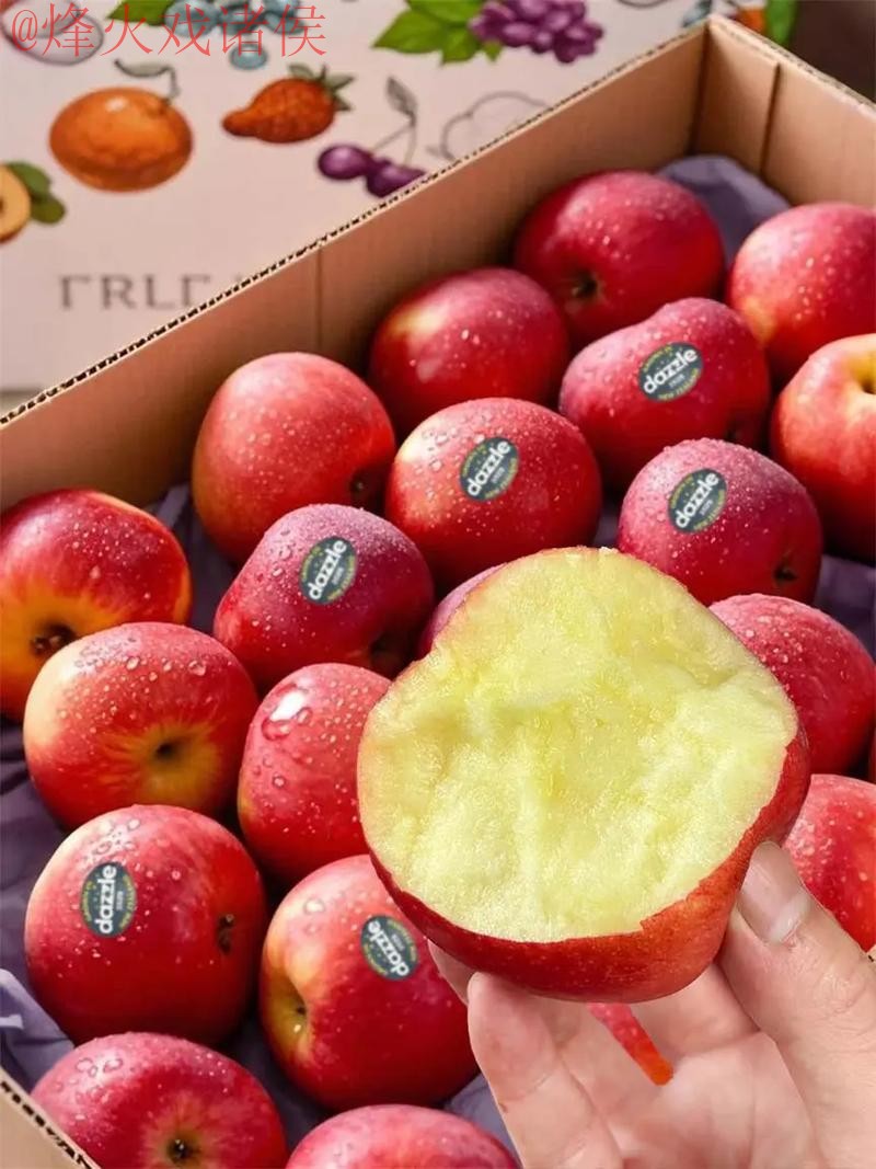 2026世界杯滚球苹果最佳 2026世界杯滚球苹果最佳